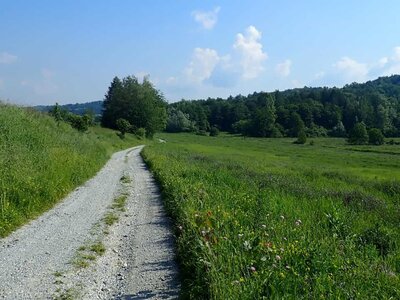 Strade bianche, boschi e spazi aperti: la Riserva in tarda primavera | I. Borgna